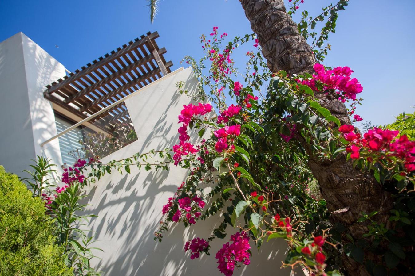 Penthouse Duplex Overlooking The Mediterranean Larnaca Exterior foto